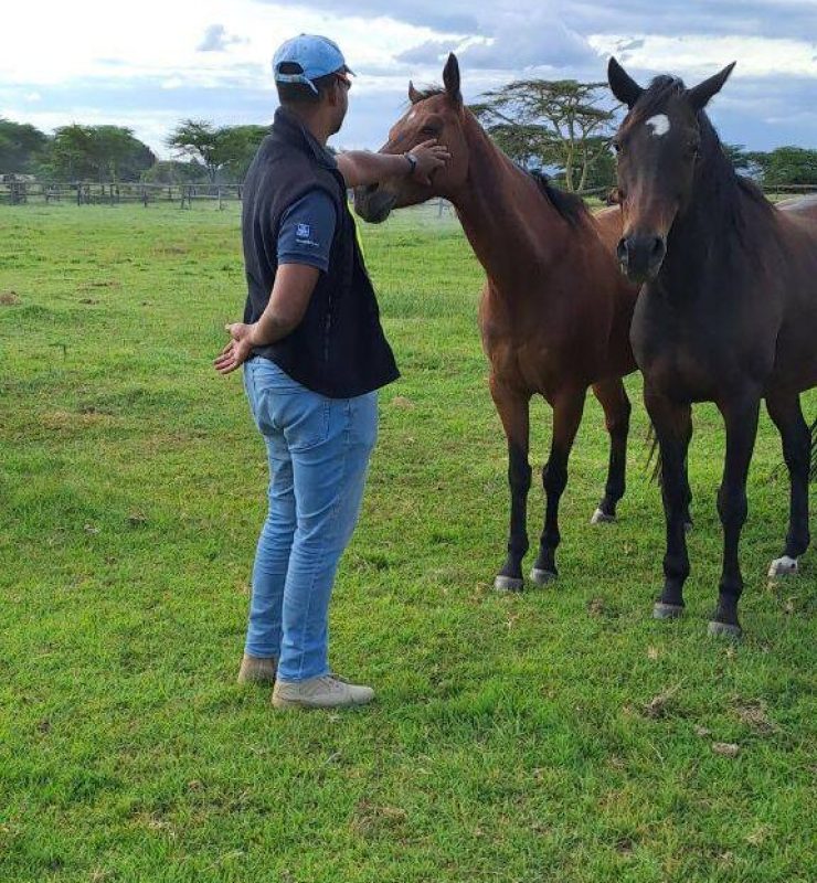 abdul with horses